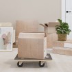 Carritos de transporte 2 uds rectangular 50x35x11,5 cm 250 kg