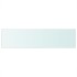 Panel de estante vidrio claro 100x25