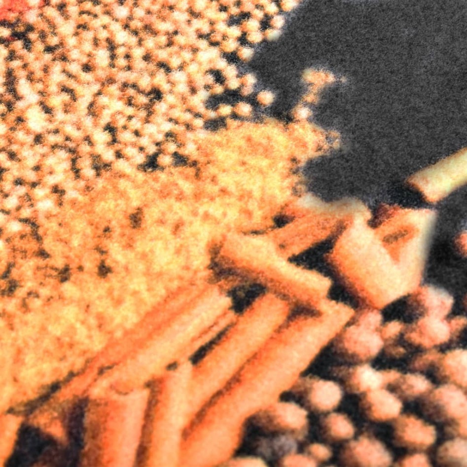 Alfombra de cocina lavable Spice 60x180