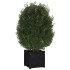 Jardinera de madera maciza de pino negro 40x40x40