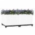 Arriate polipropileno 80x40x38