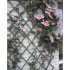 Nature Enrejado de jardín PVC 100x200 cm verde