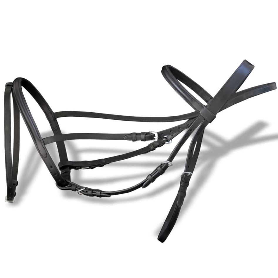 Brida Flash de Cuero Negro con Riendas y Bocado (Caballo