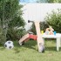 Patinete de niños 2 en 1