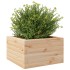 Jardinera de madera maciza de pino 40x40x23