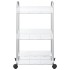 Carro de almacenamiento 3 niveles transparente 37x28x68