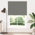 Estor Enrollable Opaco gris 165x230 cm Tela Ancho 161,6
