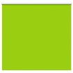 Estor Enrollable Opaco hojas verde 165x150cm Tela Ancho 161,6cm