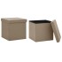 Taburetes de almacenaje plegables 2 uds capuchino