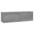 Mueble para TV madera contrachapada gris Sonoma 100x30x30