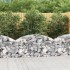 Cesta de gaviones forma arco hierro galvanizado 150x30x60/80