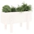 Jardinera madera maciza de pino blanco 62x30x38
