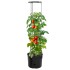 Macetero para tomates polipropileno gris antracita Ø39x150