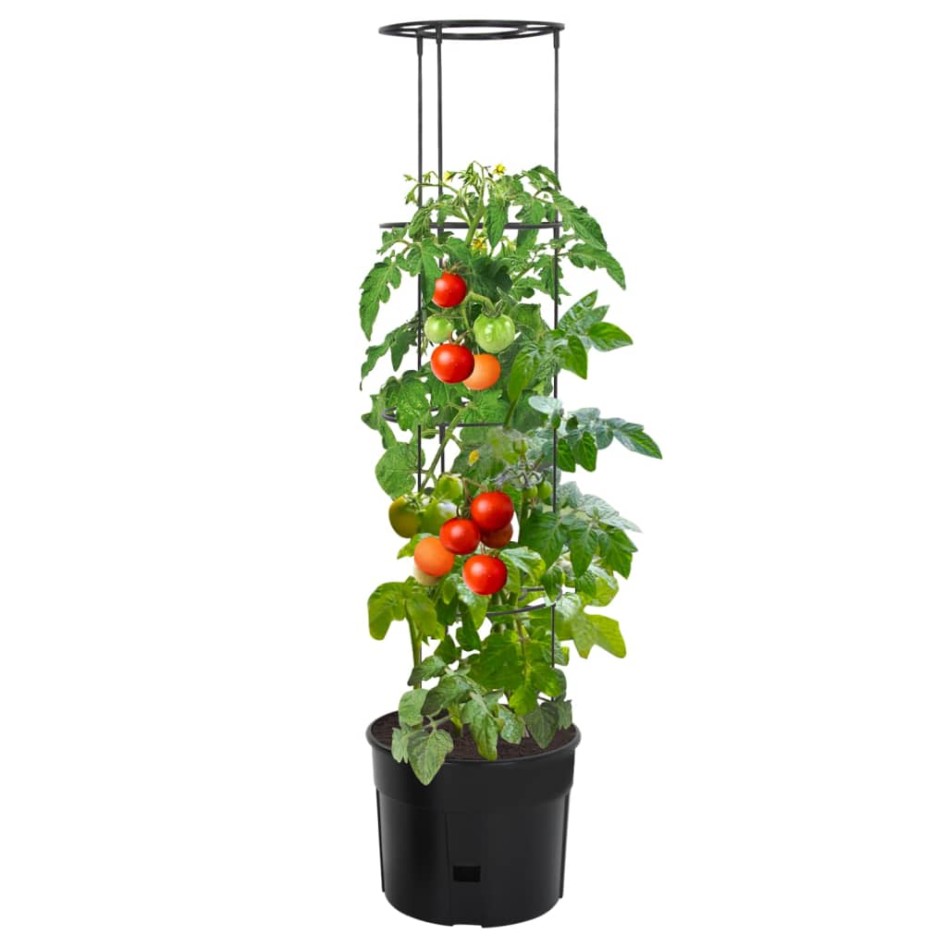 Macetero para tomates polipropileno gris antracita Ø39x150