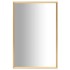 Espejo dorado 60x40
