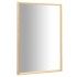 Espejo dorado 60x40
