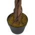 Ficus artificial con 378 hojas verde 80