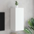 Mueble de TV de pared con luces LED blanco 30,5x35x70