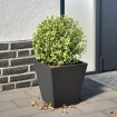 Jardinera hexagonal acero negra 30x30x30 cm