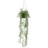 Emerald Senecio artificial colgante con maceta 70