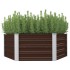 Mesa de cultivo de acero galvanizado marrón 129x129x46