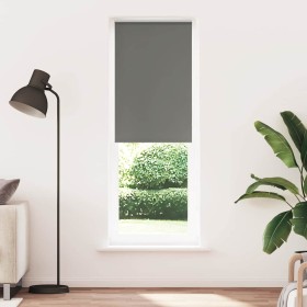 Estor Enrollable Opaco gris 75x230 cm Tela Ancho 70,7