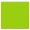 Estor Enrollable Opaco hojas verde 165x175cm Tela Ancho 161,6cm