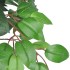 Árbol/ Planta de ficus artificial en maceta, 110