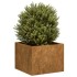Jardinera oxidada acero corten 40x40x30