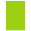 Estor Enrollable Opaco hojas verde 150x230cm Tela Ancho 146,6cm