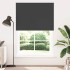 Estor Enrollable Opaco negro 155x230 cm Tela Ancho 151,6