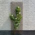 Nature Enrejado de jardín sauce natural marrón 60x180