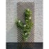 Nature Enrejado de jardín sauce natural marrón 60x180