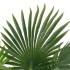 Planta artificial palmera con macetero 70 cm