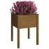 Jardineras 2 uds madera maciza de pino marrón miel 50x50x70