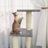 Rascador para gatos con postes de sisal gris claro 92