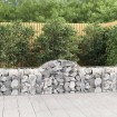 Cesta de gaviones forma arco hierro galvanizado 200x50x60/80 cm