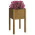Jardineras 2 uds madera maciza de pino marrón miel  40x40x70
