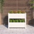 Jardinera de madera maciza de pino blanco 77x25x66