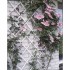 Nature Enrejado de jardín 100x200 cm PVC blanco