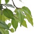 Planta enana artificial de ficus en maceta, 60