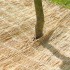 Nature funda protectora de paja de arroz para invierno 1x1,5 m