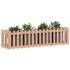 Arriate elevado jardín valla madera maciza Douglas 200x50x50