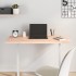 Tablero de escritorio madera maciza de haya 100x50x2,5