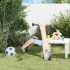 Patinete de niños 2 en 1 azul