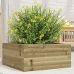 Jardinera de madera de pino impregnada 50x50x23 cm