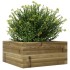 Jardinera de madera de pino impregnada 50x50x23