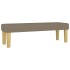 Banco de tela gris taupe 100x30x30