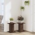 Soportes para plantas 2 uds madera marrón roble 30x30x40