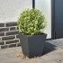 Jardinera hexagonal acero antracita 30x30x30